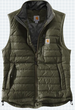 Carhartt® Gilliam Vest